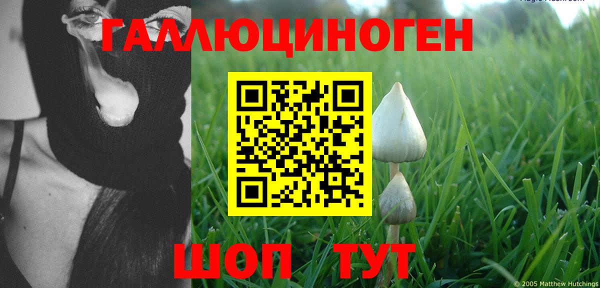 Галлюциногенные грибы мухоморы  Псилоцибиновые грибы Magic Shrooms  Грязи  Вход с VPN 