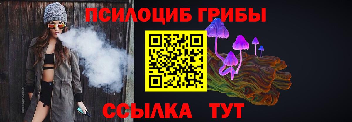 Галлюциногенные грибы Cubensis Грязи